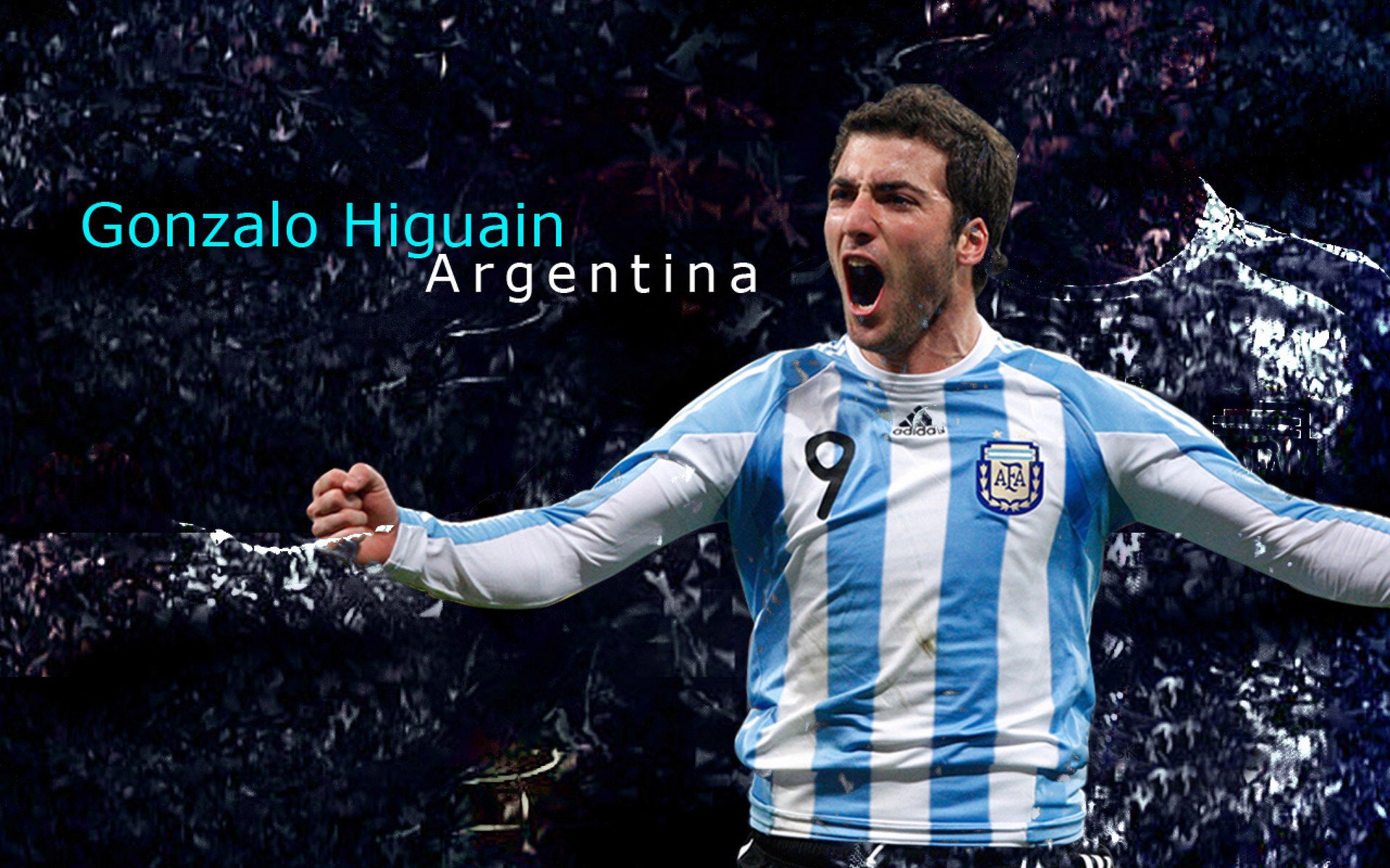 自由泳冲刺荷兰队表现出色，自由泳竞速视频